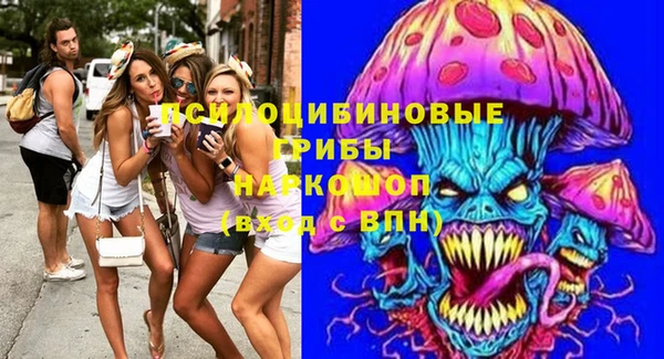 дживик Болохово