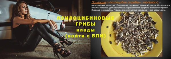 стафф Болотное